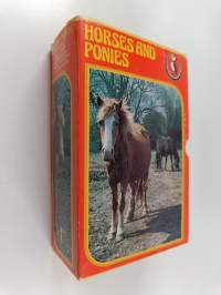 Horses and Ponies boxed edition : The Brumby ; Cobbler's dream ; Horse in the house ; The Nipper ; Ponies plot ; A pony in the luggage (kotelossa)