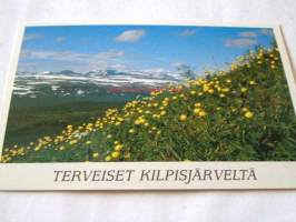 postikortti  kilpisjärvi   kulleroniitty