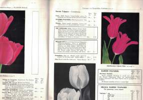 Kukkahinnasto / luettelo 1939