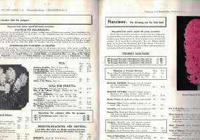 Kukkahinnasto / luettelo 1939