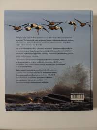 Utö : syksy ja kevät ulkosaaressa