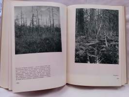 Suomen kaunis luonto