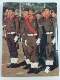 South African war machine