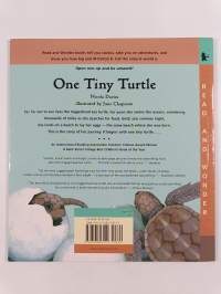 One Tiny Turtle : Read and Wonder