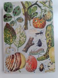 Kasvilääkäri : opas tautien ja tuholaisten torjumiseen hedelmäpuista ja marjapensaista sekä vihannes- ja koristekasveista