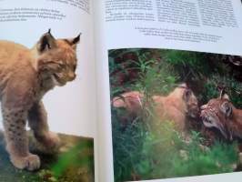 Suurpetomme : karhu, susi, ahma, ilves = Bear, wolf wolverine, lynx in Northern Europe