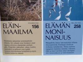 Luonnon aakkoset : koko perheen luontokirja