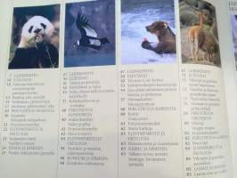 Vuoristot : panda, kondori, karhu, laamat, japaninmakaki, gemssi, murmeli, paksusarvilammas