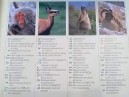 Vuoristot : panda, kondori, karhu, laamat, japaninmakaki, gemssi, murmeli, paksusarvilammas