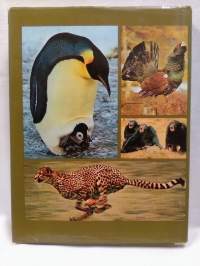 Kiehtova eläinmaailma