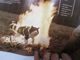 Nyrkkiposti 1970 nr 2, Paavo Kaislaniemi - Ex-Valpon mies Neuvostoliitossa 1967, Vilppula - Kotiniemen kasvatuslaitos, Kreivi Lindgren &amp; manageri Jorma Weneskoski...