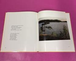 Kuin tuulen henkäys