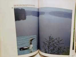 Suomen linnut 3 - Harvinaiset ja satunnaiset pesimälajit, Läpimuuttajat ja satunnaisvierailijat, Lintujen biologia, Linnut ja ihminen