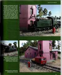 Saimaan Rautatien historia  -Unelma Löylymäestä