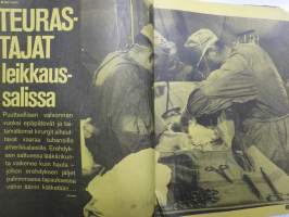 Nyrkkiposti 1969 nr 11, Lolan musta avioliitto - neekeri on paras, Purtsi kännissä 2.29 promillea, Sähkösokki, Suomen paras rakastaja Rainer Lindgren, Teiniliitto...