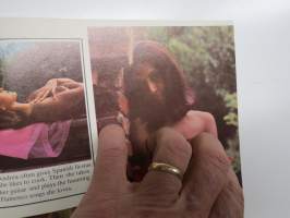 Dapper 1966 nr 3 -aikuisviihdelehti