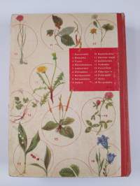 Koulu- ja retkeilykasvio