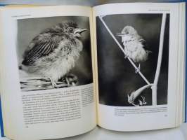Elämää vaistojen varassa : lintujen psykologiaa lähikuvina