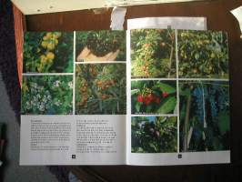 Hyvän sadon hyötytarha : 109 hyötykasvia