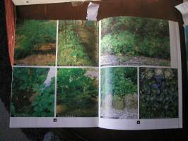 Hyvän sadon hyötytarha : 109 hyötykasvia