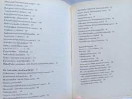 Iloinen pillipiipari