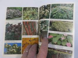 Renlund Kivapiha Taimihinnasto - Puutarha EKA -hinnasto kevät 1990