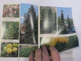 Renlund Kivapiha Taimihinnasto - Puutarha EKA -hinnasto kevät 1990