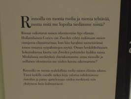 Rinnat - Elämänmittainen rakkaustarina