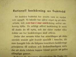 Rationel beskärning av fruktträd