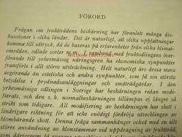 Rationel beskärning av fruktträd
