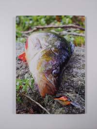 Erä vuosikirja : Viehevuosi 2014