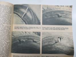 Tuulilasi 1964 nr 4, Yllättävä tutkimus, autojen värin  vaikutuksesta kolarialttiuteen, Monte Carlon raharalli, Rengas repeää, Glas 1204, Koeajo mm. Ford Mustang, ym