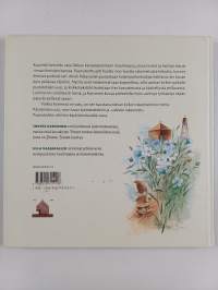 Paanutonttu ja Tarinakivet