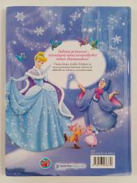 Prinsessojen talvikirja