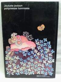 Satumaa - Vuoden ympäri