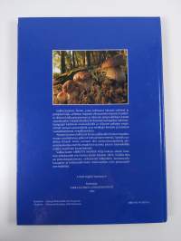 Vakka-Suomi : Merestä maaksi