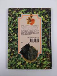 Elävän ravinnon ruokaohjeita