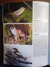 Koko perheen luonto-opas : kasvit, sienet, pieneläimet, perhoset, kalat, linnut, nisäkkäät : retki Pohjolan luontoon