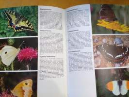 Koko perheen luonto-opas : kasvit, sienet, pieneläimet, perhoset, kalat, linnut, nisäkkäät : retki Pohjolan luontoon