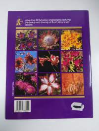 Wild flowers of South Africa