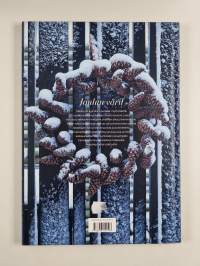 Suuri joulukirja : parhaat jouluideat 2024 - Parhaat jouluideat 2024 - Suuri joulukirja 2024