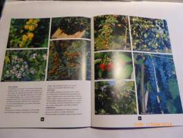 Hyvän sadon hyötytarha : 109 hyötykasvia