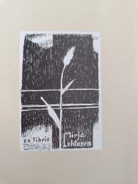 Nuijasota : sen syyt ja tapaukset