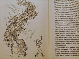 Peukaloisen retket villihanhien seurassa