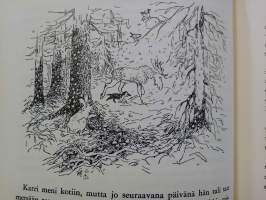 Peukaloisen retket villihanhien seurassa