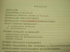 Jokamiehen kivikirja