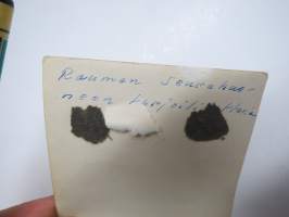 Rauman Seurahuoneen harjoittelijattaria -valokuva