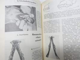 SKL - Suomen Kennel-Liiton julkaisu (jäsenlehti) vv. 1952-1958 -sidotut vuosikerrta neljänä sidoksena