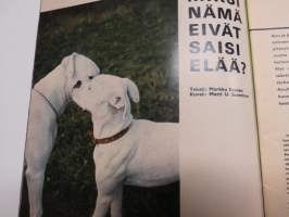 Hymy 1966 nr 10, Kansikuva Theresa Rosenius, Valkeat bokserit lopetettava?, Tuula Ignatius, Olavi Virta kertoo,Supermies Bob Kennedy, Hannu Karpo, "Pytty"...