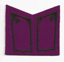 Sähkötekninen ala  Kantahenkilökunta Upseerit - kauluslaatat   leikkaamaton pari arvomerkit